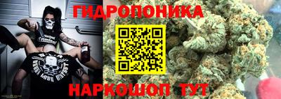 сатива Краснодар