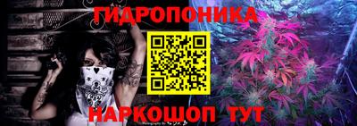 сатива Краснодар