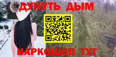сатива Краснодар