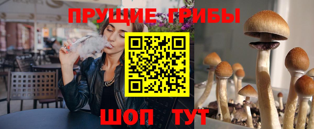 Псилоцибиновые грибы мицелий Ейск